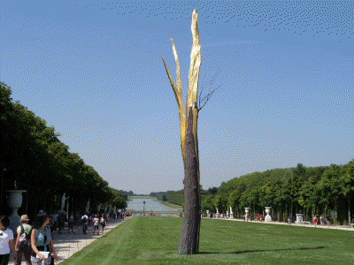 versailles 43