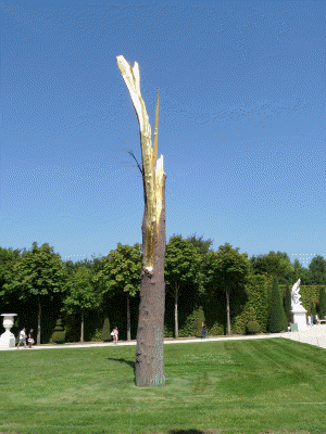 versailles 46