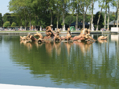versailles 53